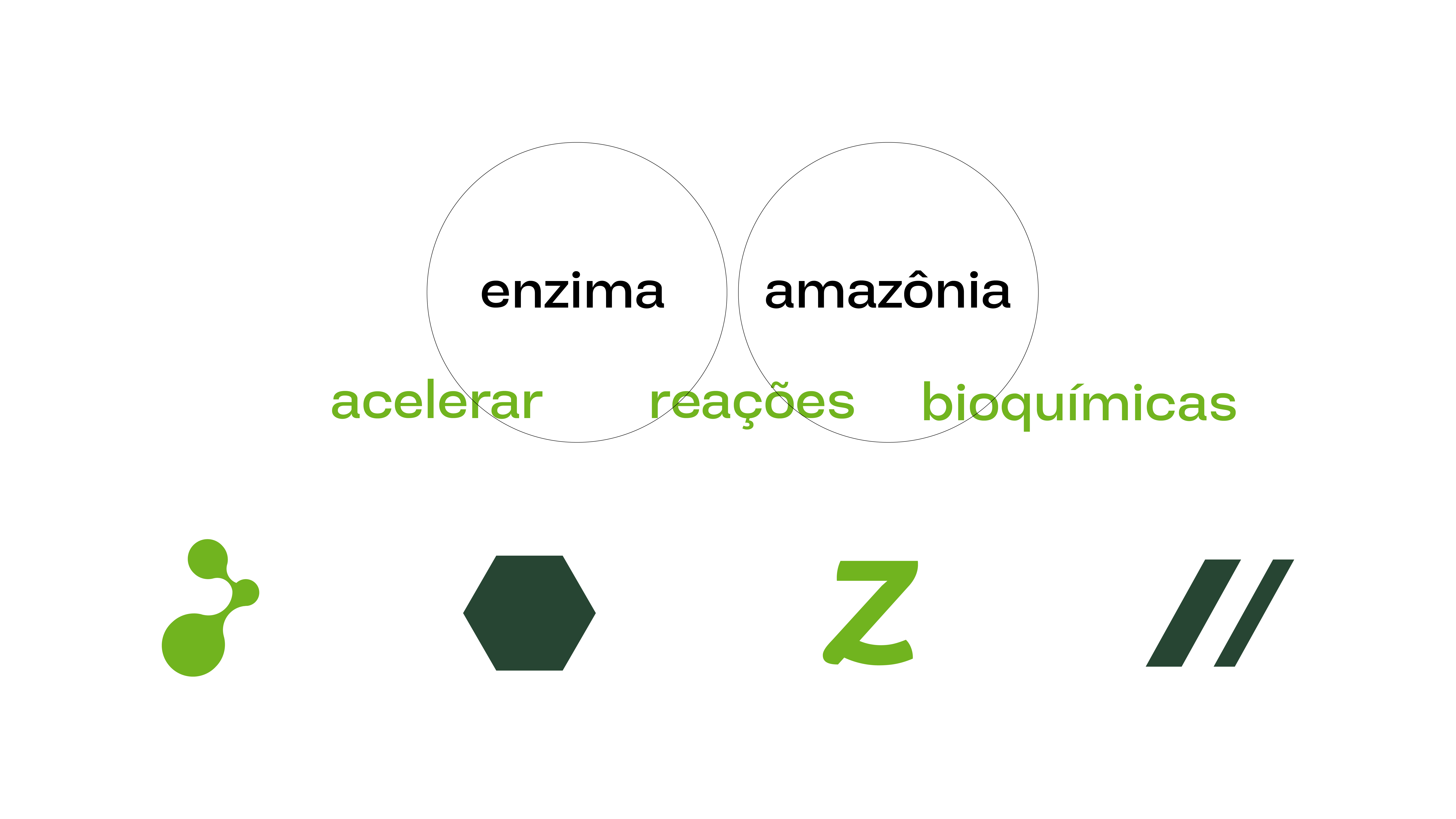 Amazonzyme — slide 2