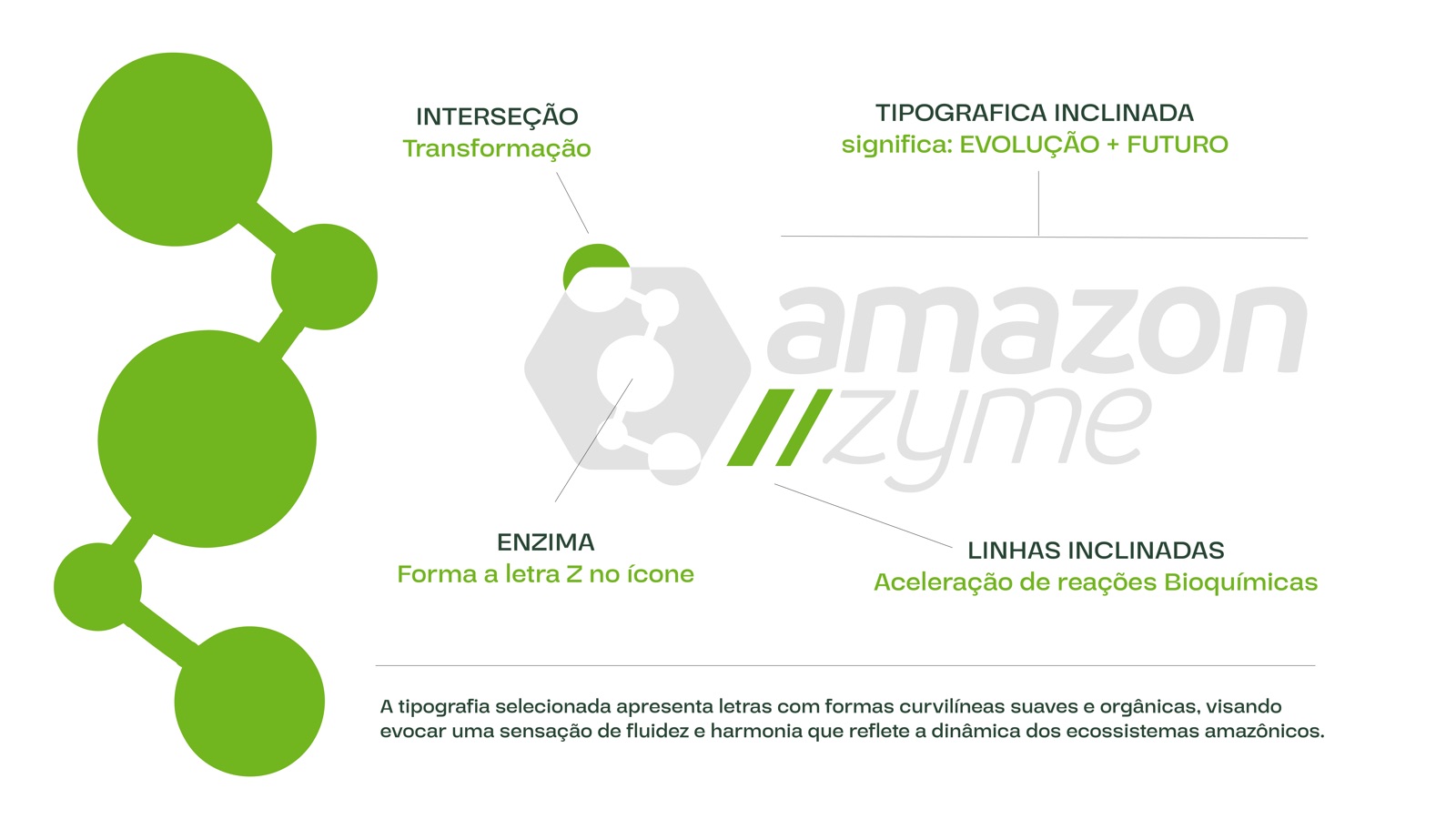 Amazonzyme — slide 4