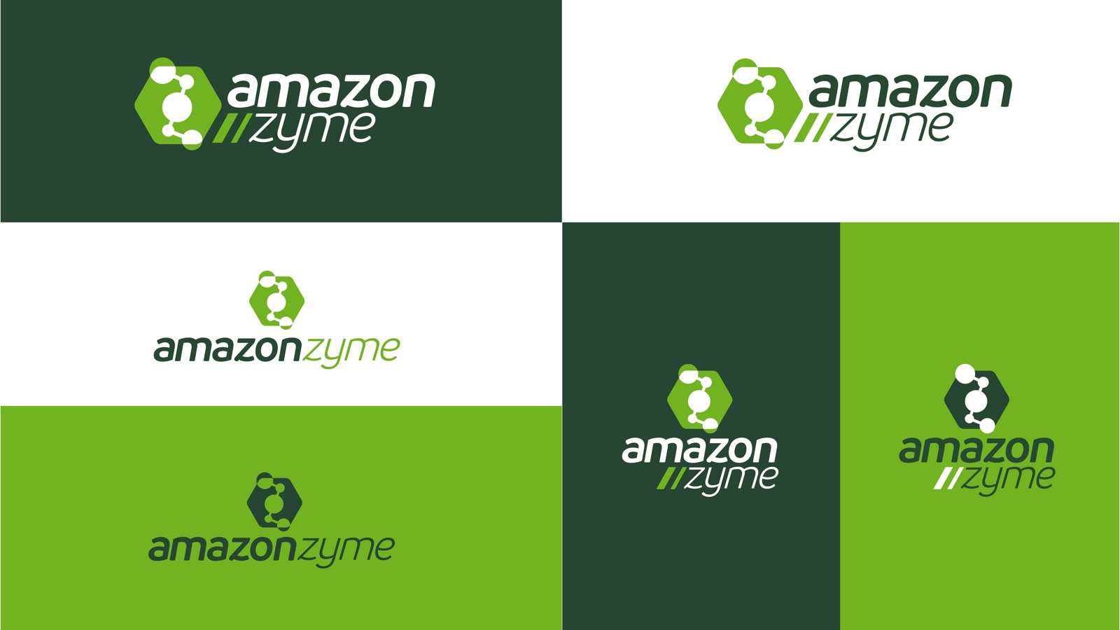Amazonzyme — slide 5